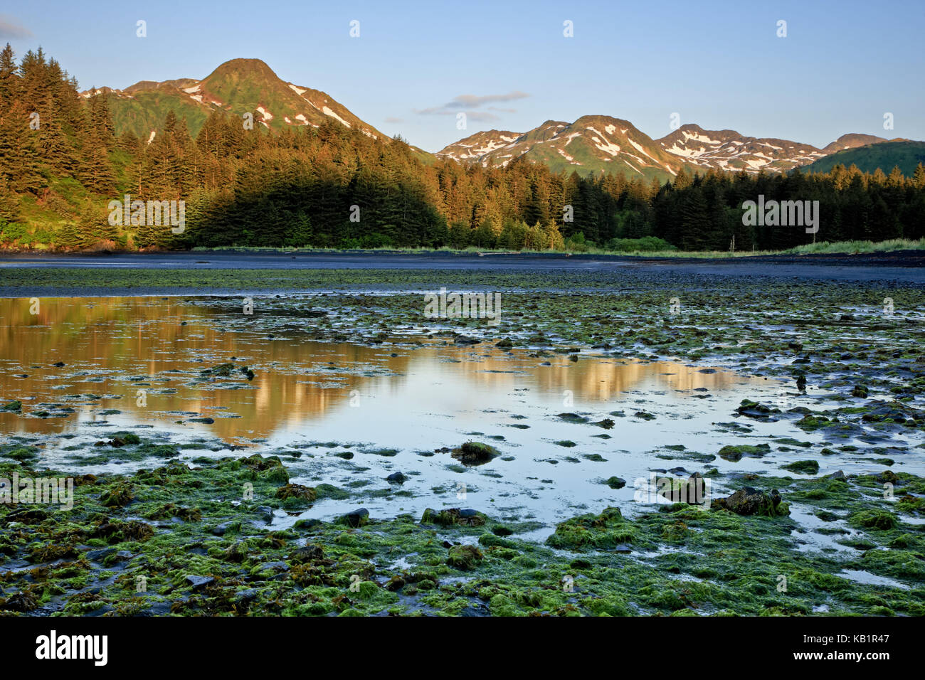 Nord America, USA, Alaska, Kodiak Islanda, Monakshak Bay, il paesaggio di montagna, montagne litoranee, Coast Mountains bassa marea, Foto Stock