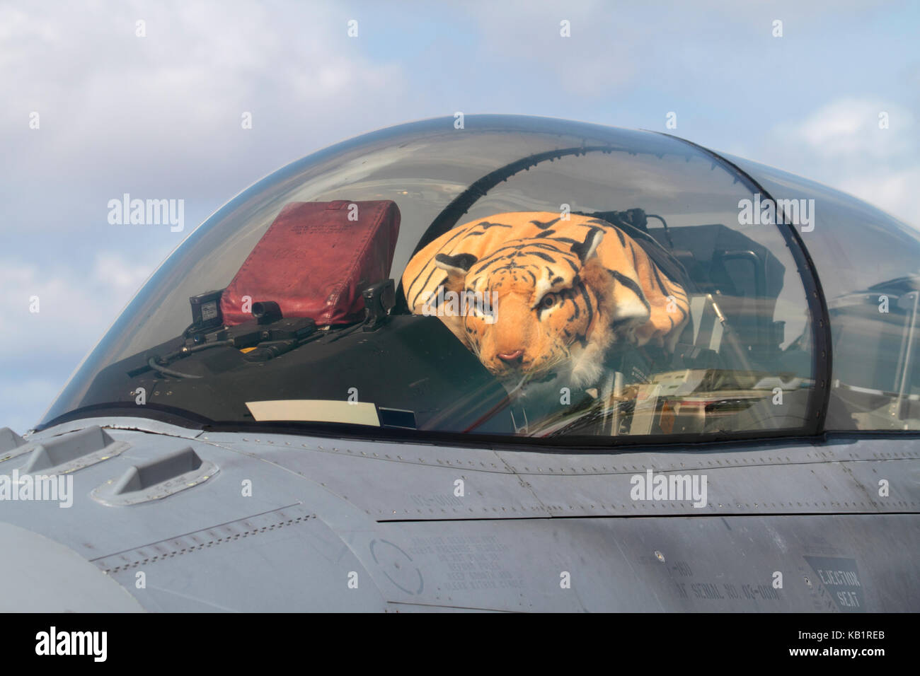 Polish Air Force F-16D jet da combattimento aereo cockpit con tiger giocattolo morbido sotto la tettoia chiusa Foto Stock
