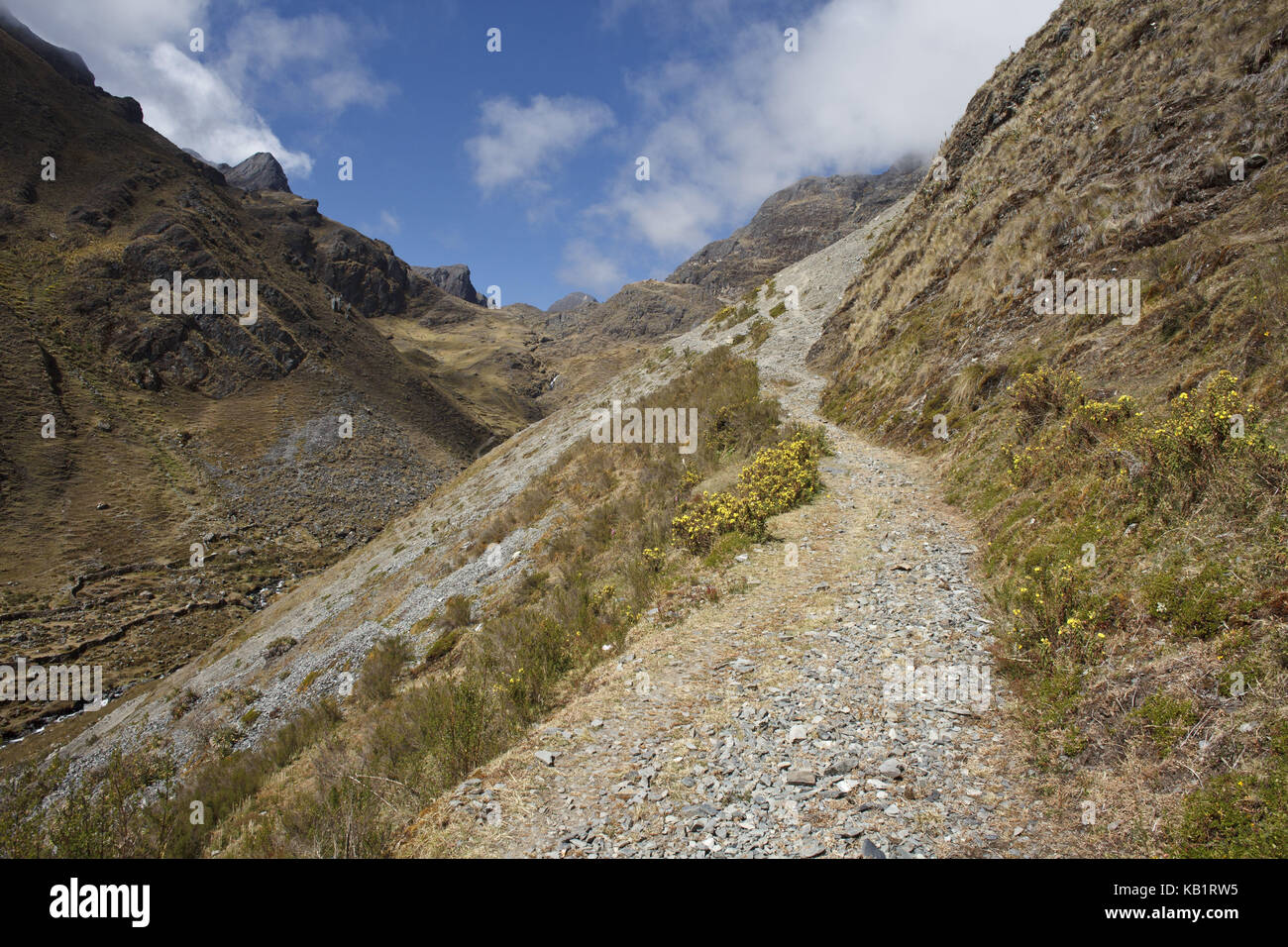Bolivia, cordillera apolobamba, Foto Stock