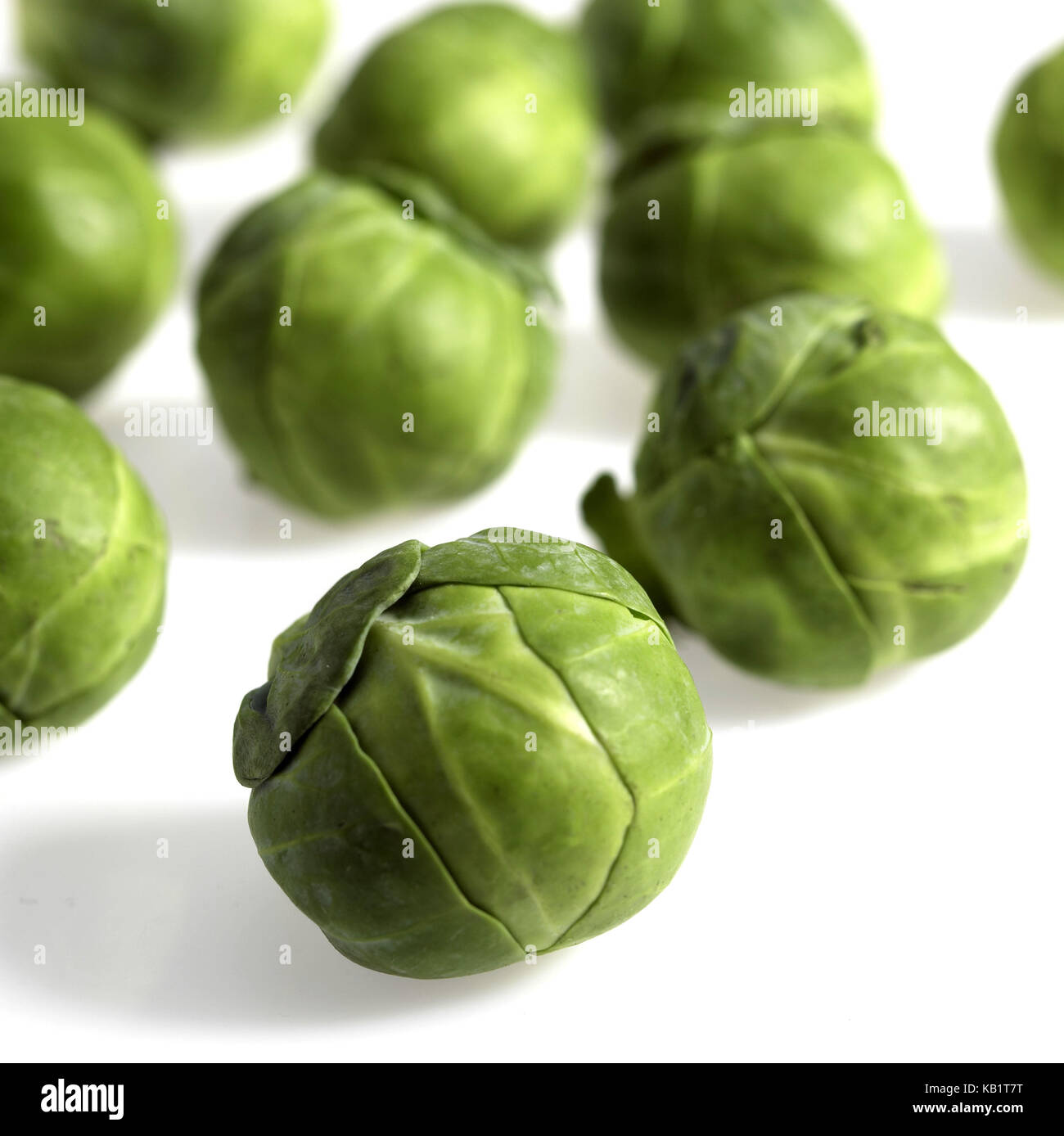 I CAVOLI DI BRUXELLES, Brassica oleracea, sfondo bianco Foto Stock