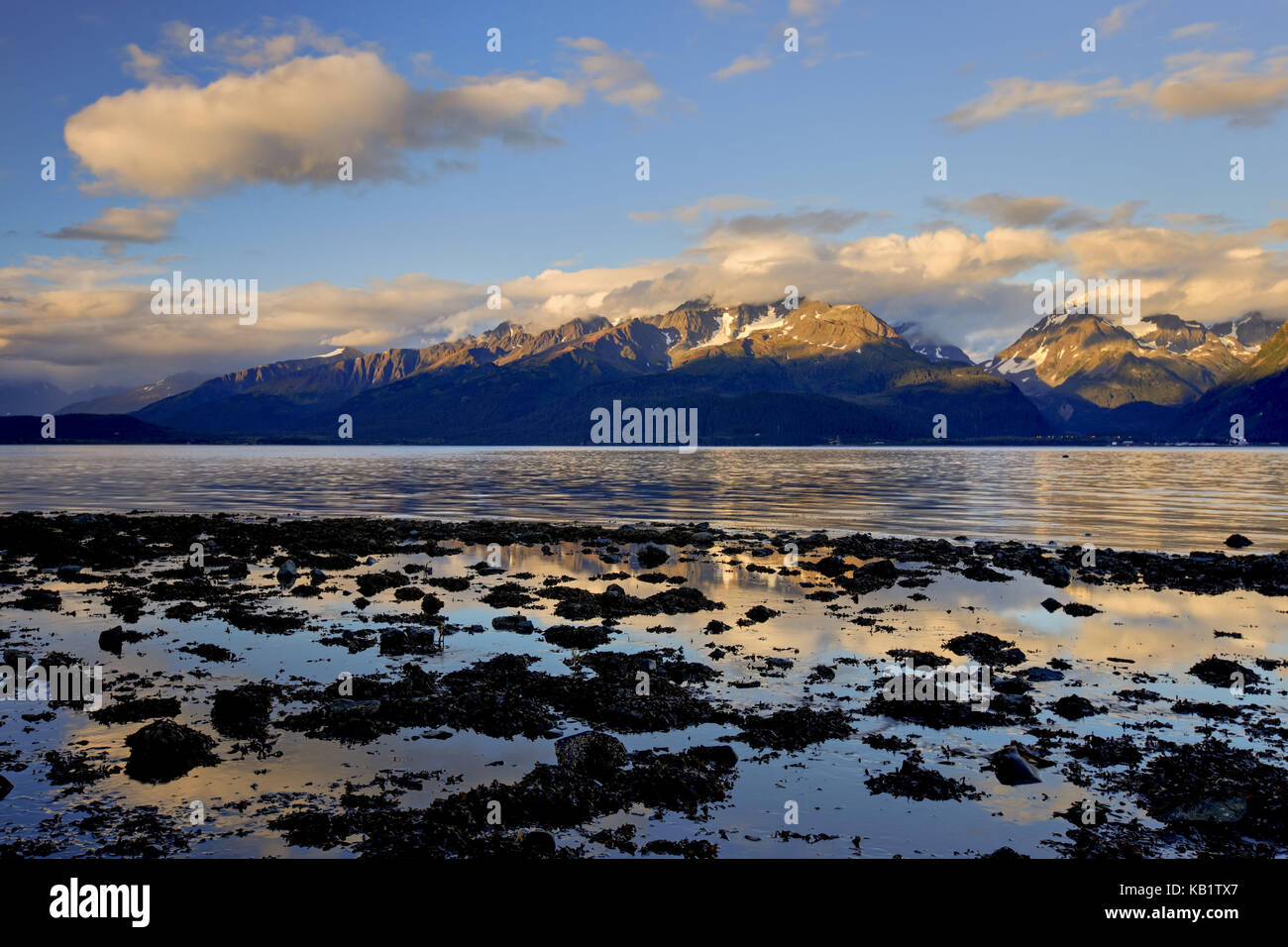 Nord America, USA, Alaska centro sud, penisola di Kenai, risurrezione bay, Chugach Mountains, Foto Stock