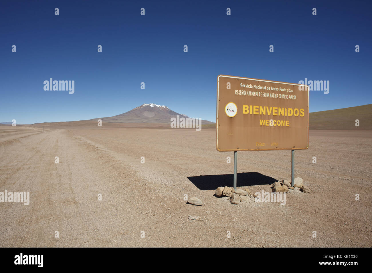 Bolivia, los lipez, Desierto de siloli, Foto Stock