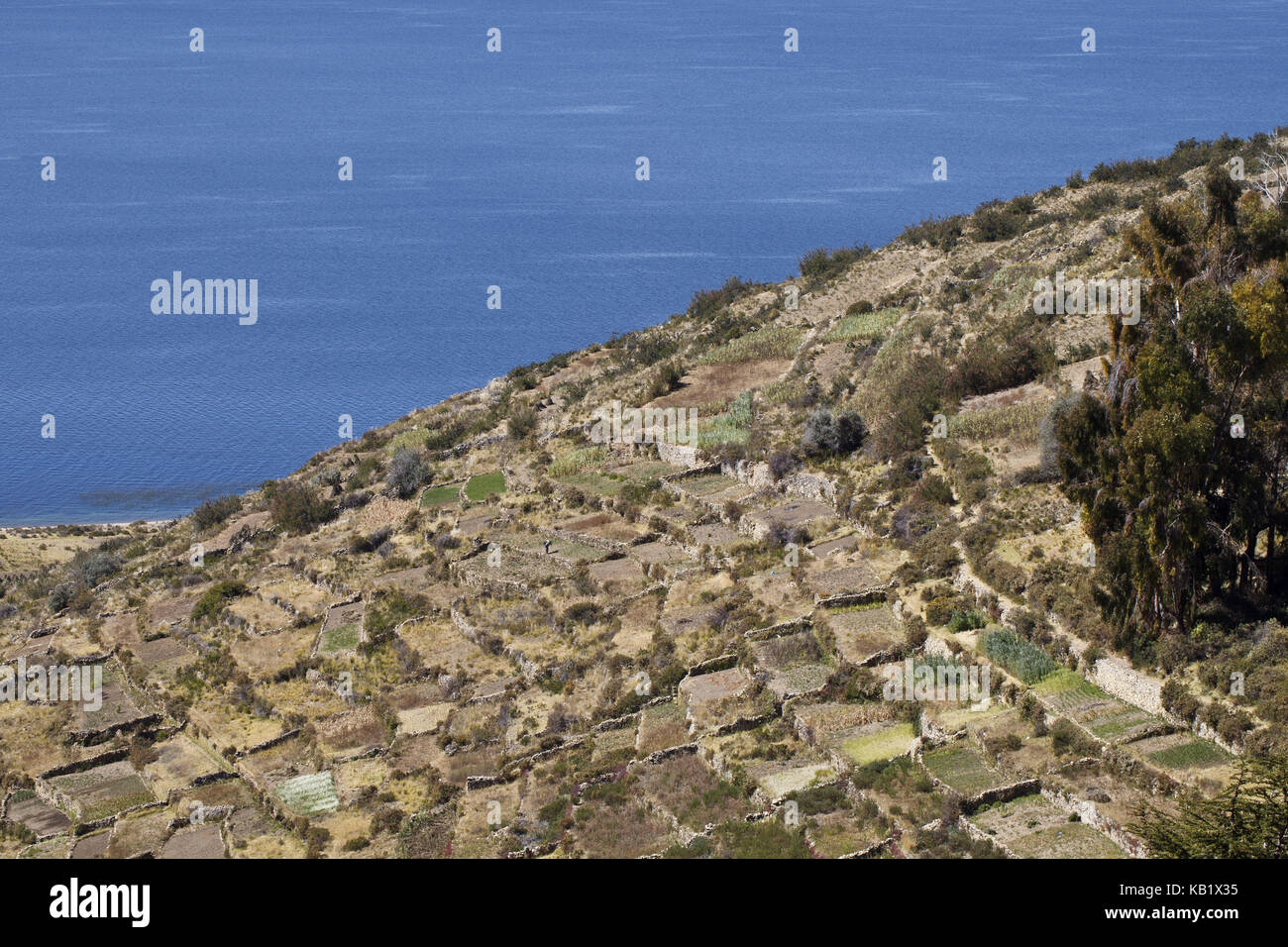 Bolivia, titicacasee, Copacabana, Foto Stock