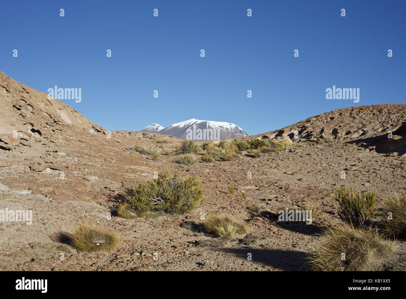 Bolivia, Los Lipez, Mirador Volcan Ollagüe, Foto Stock