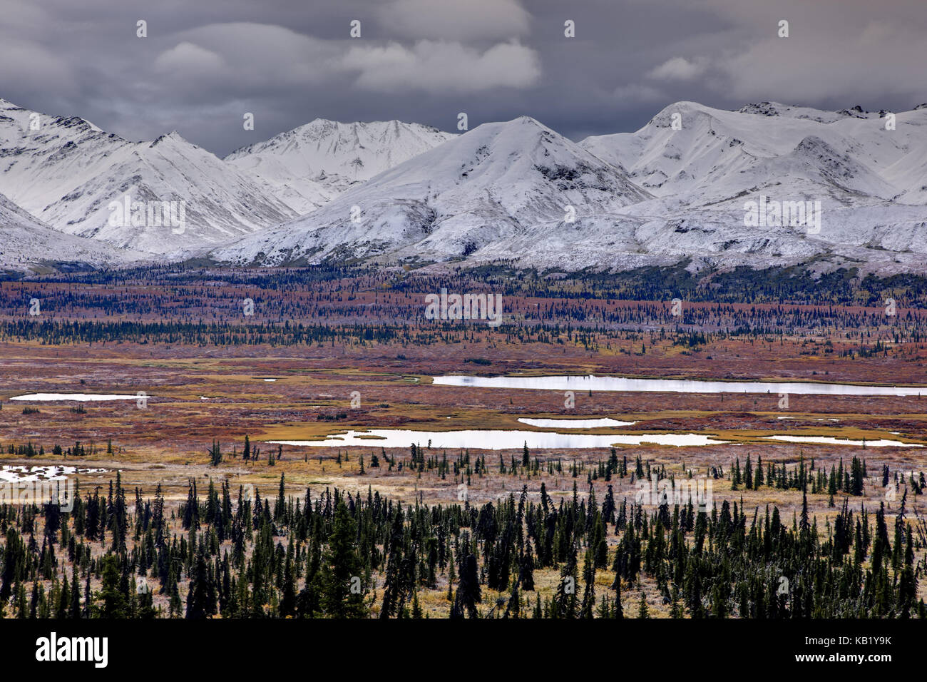 Nord America, USA, Alaska centro sud, Chugach Mountains, Foto Stock