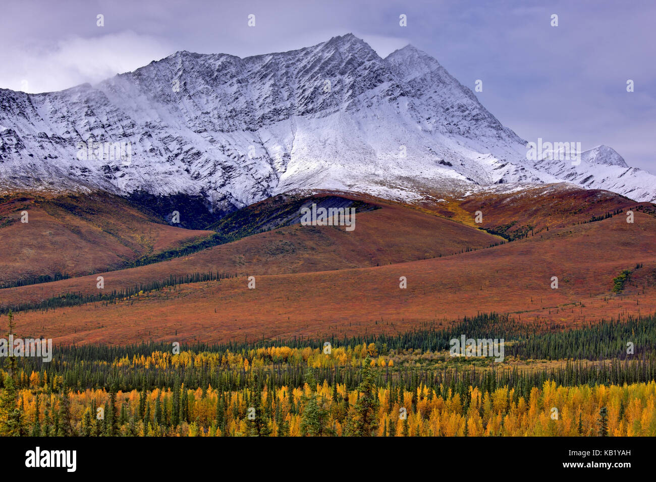 Nord America, USA, Alaska, brooks range, paesaggio di montagna, Foto Stock
