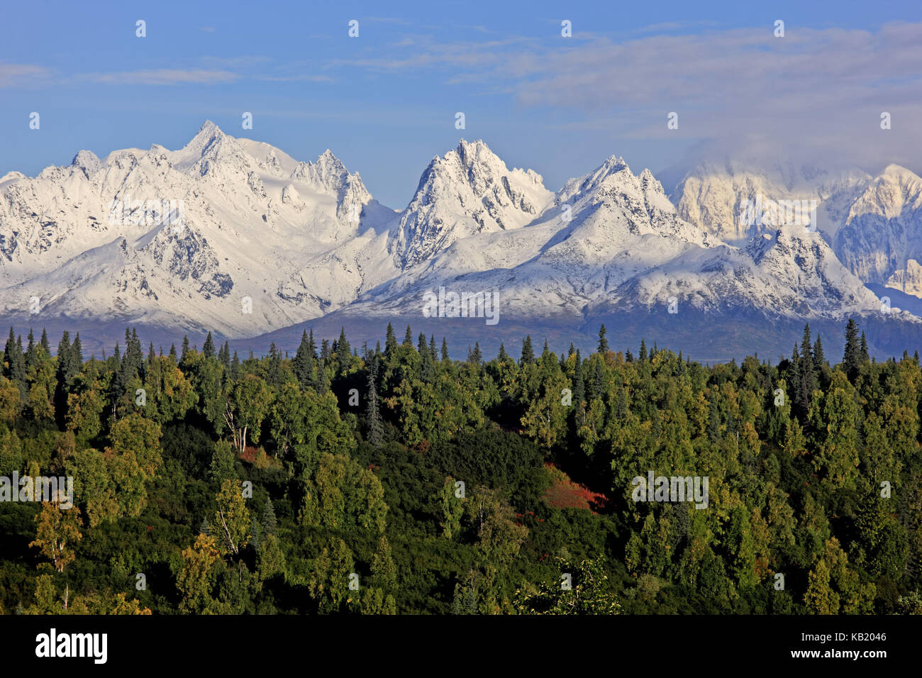 Nord America, USA, Alaska alaska range, Foto Stock