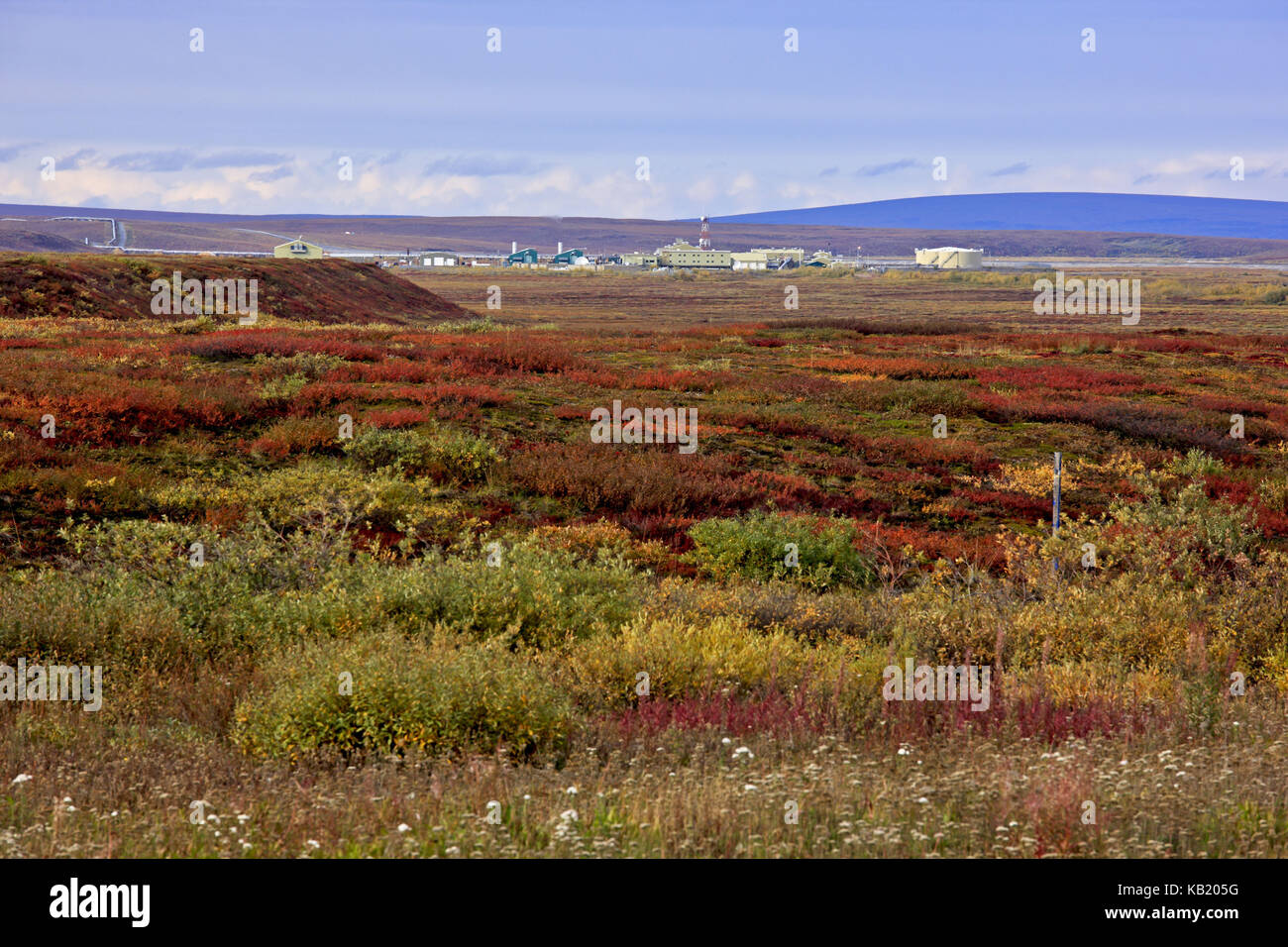 Nord America, USA, Alaska, versante nord, tundra artica, magazzino di alimentazione olio, campi, Foto Stock