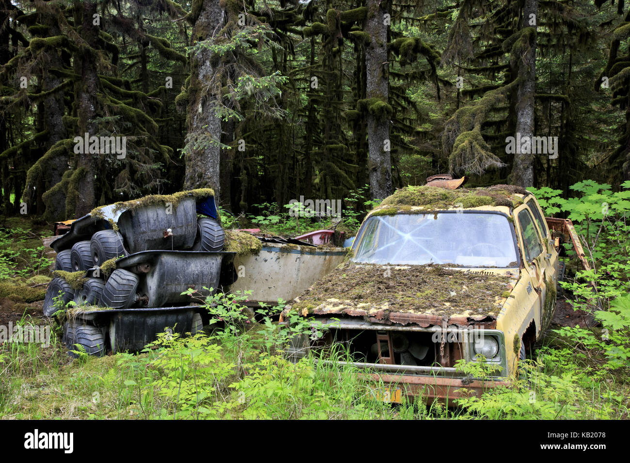 Nord America, Stati Uniti, Alaska, Kodiak Islanda, foresta pluviale, auto, Foto Stock