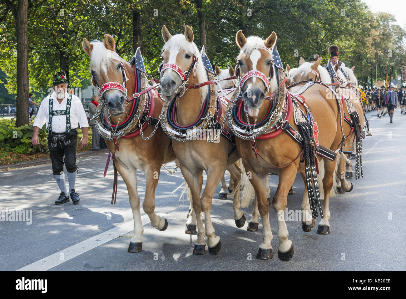 In Germania, in Baviera, Monaco di Baviera, oktoberfest, tradizionale sfilata, carrozza trainata da cavalli, Foto Stock