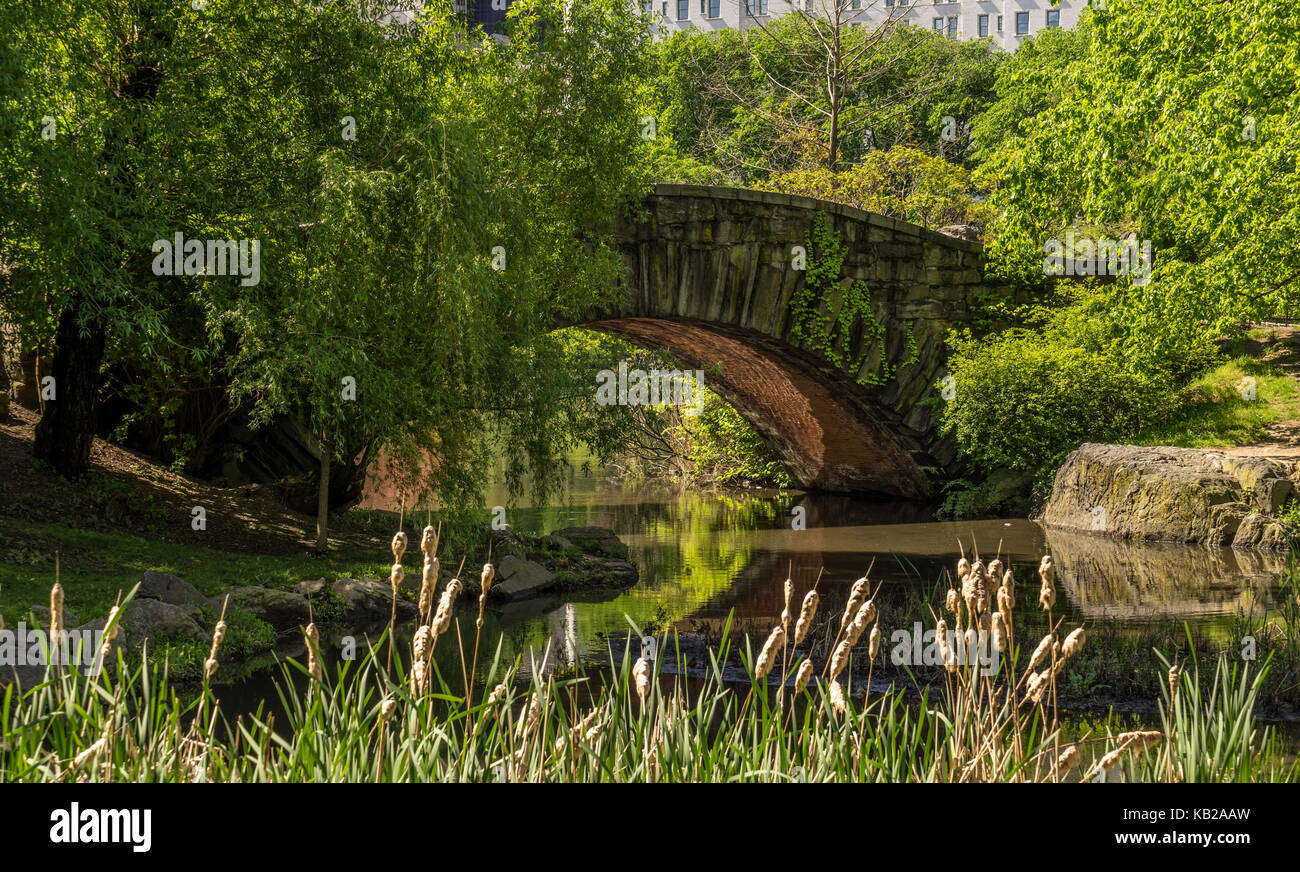 Un ponte di pietra gapstow bridge in central park ny. Foto Stock