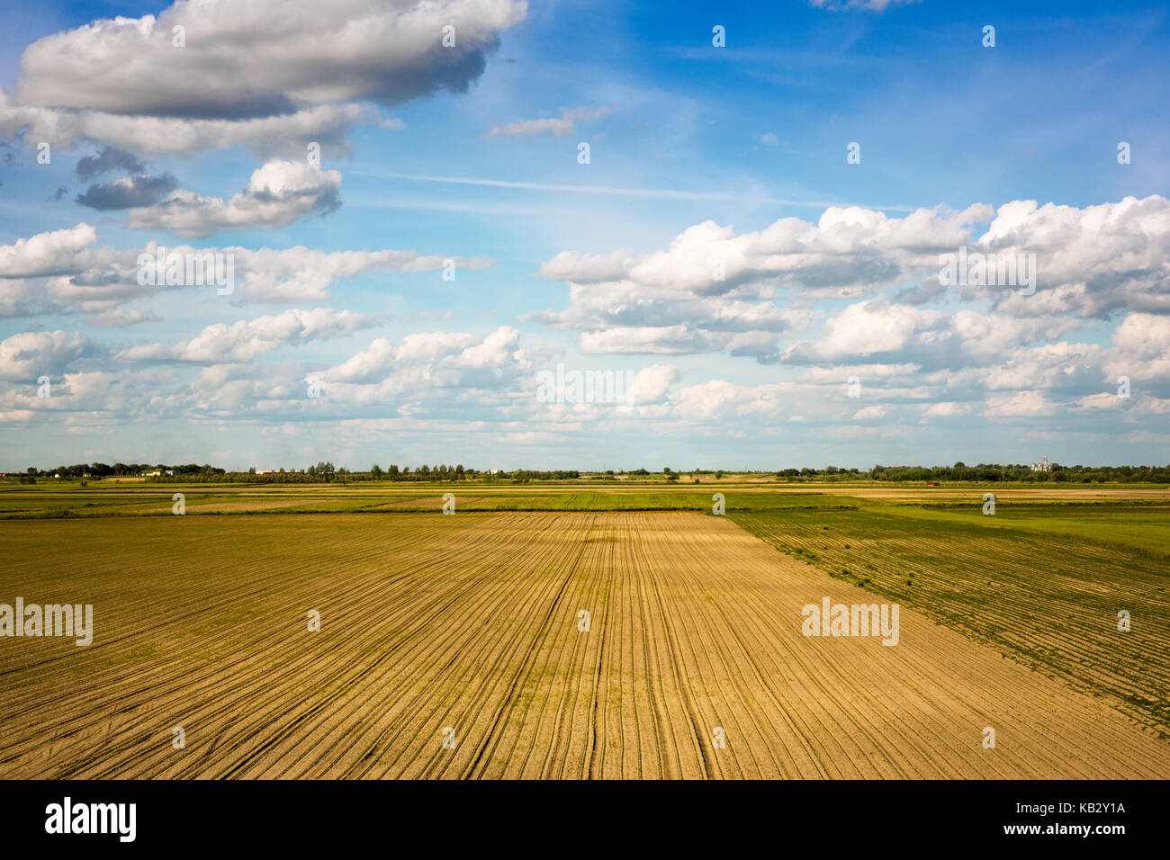 Il paesaggio agricolo campo preparato per la semina Foto Stock