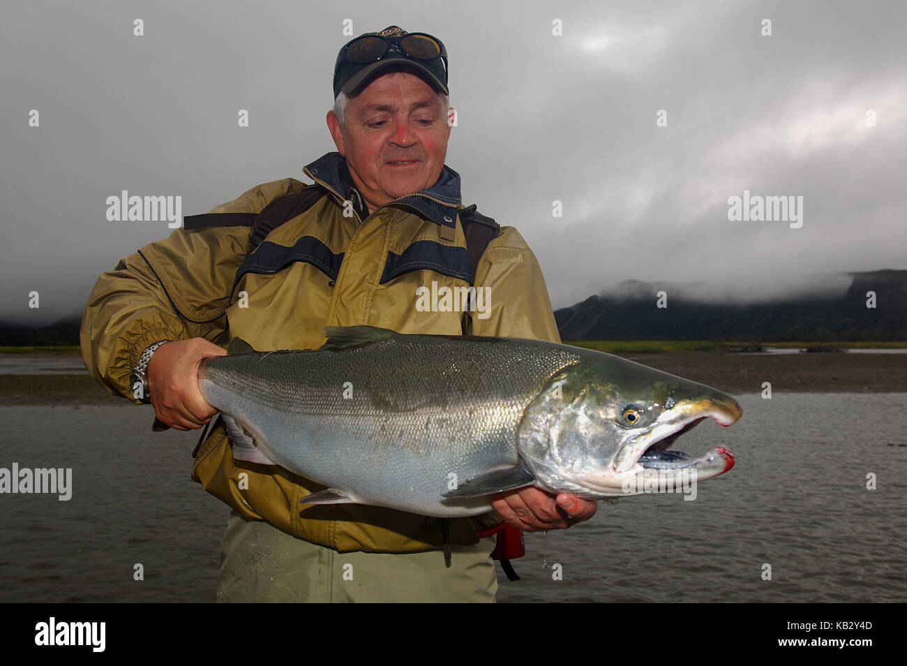 Fisherman tenendo un argento o coho salmoni catturati durante la pesca con la mosca vicino Chignik Alaska Foto Stock