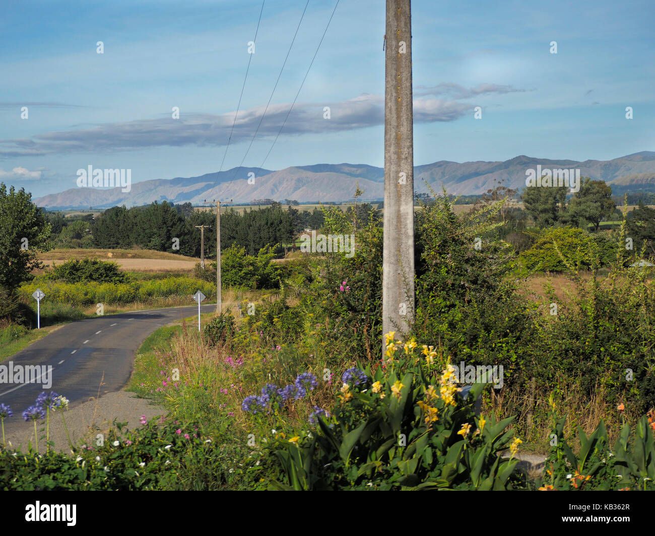 Country Road e pali del telegrafo vicino levin in Nuova Zelanda Isola del nord. Foto Stock