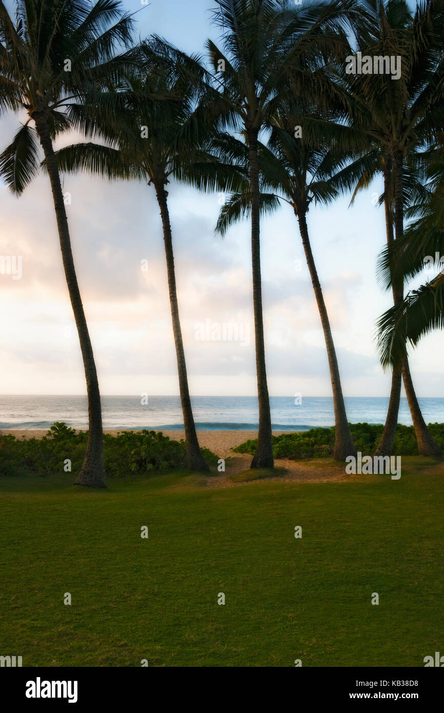 La prima luce di bellezza in Paradise lungo la costa sud a Po'IPU alle Hawaii dell Isola di Kauai. Foto Stock