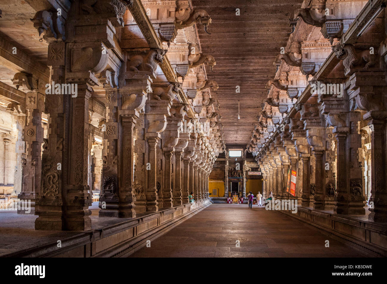 India, nello stato del Tamil Nadu, tiruchirappali, jambukeshwara temple, tempio di Shiva, vista interna Foto Stock
