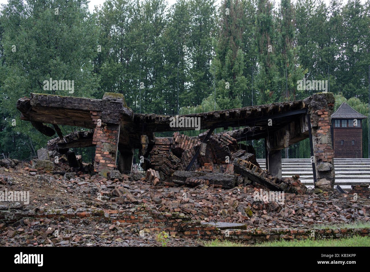 Le rovine delle camere a gas di Auschwitz II Birkenau WWII campo di concentramento nazista, Polonia Foto Stock