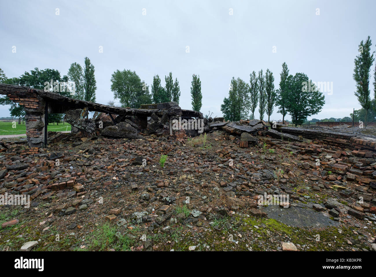Le rovine delle camere a gas di Auschwitz II Birkenau WWII campo di concentramento nazista, Polonia Foto Stock
