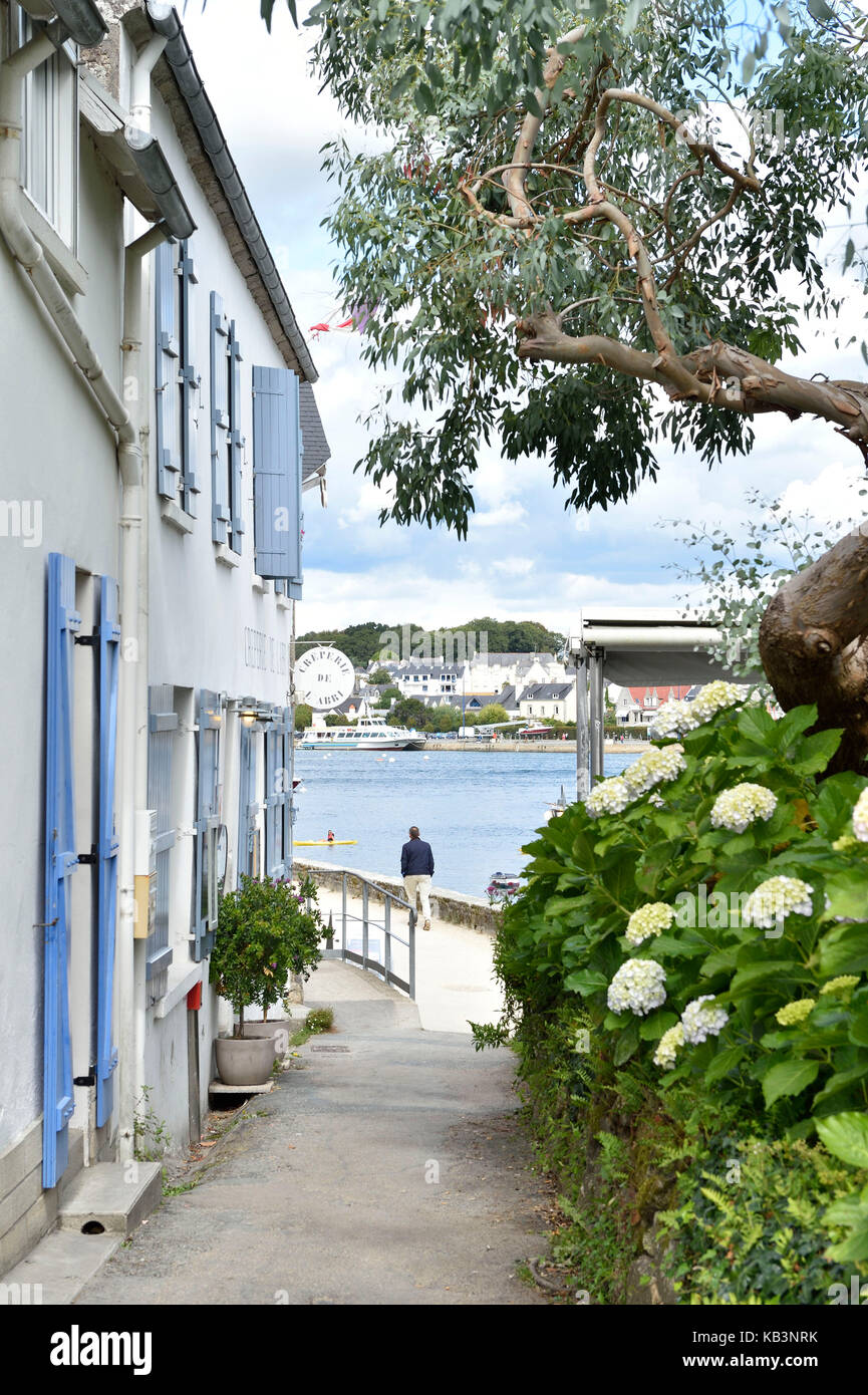 Francia, Finisterre, combrit, sainte porto marino lungo l'Odet river Foto Stock