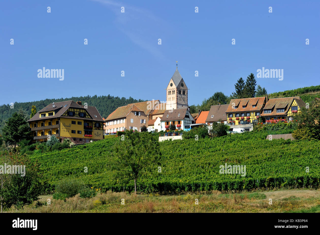 Francia, BAS RHIN, Alsazia strada del vino, itterswiller Foto Stock