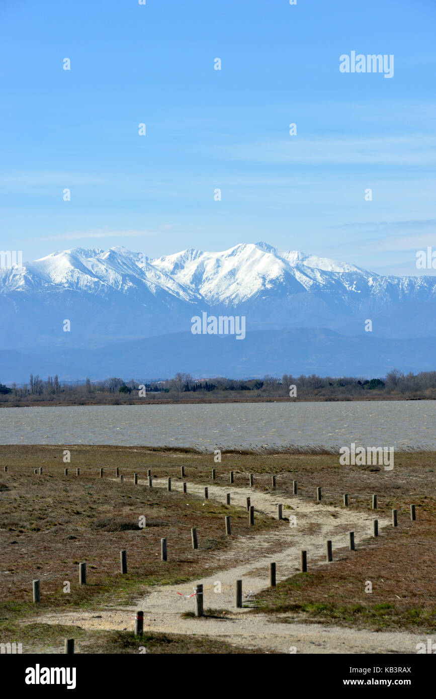 Francia, Pirenei orientali, Canet en Roussillon, canet Saint Nazaire stagno con mont canigou (2784 m) Foto Stock