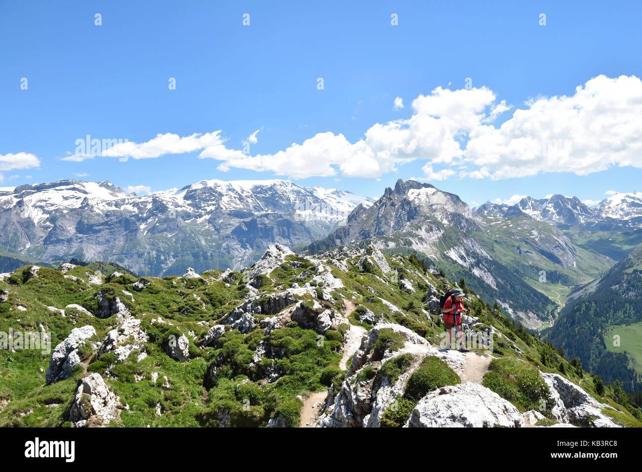 Francia, Savoie, massiccio della Vanoise, Valle Tarentaise, Courchevel, escursionismo sul Dent du Villard (2284 m) e il picco del Monte Charvet affacciato di Bellecote vetta (3416 m), il Dome de la Sache (3606m) e Aiguille de Mey (2844m) del Parco Nazionale della Vanoise Foto Stock