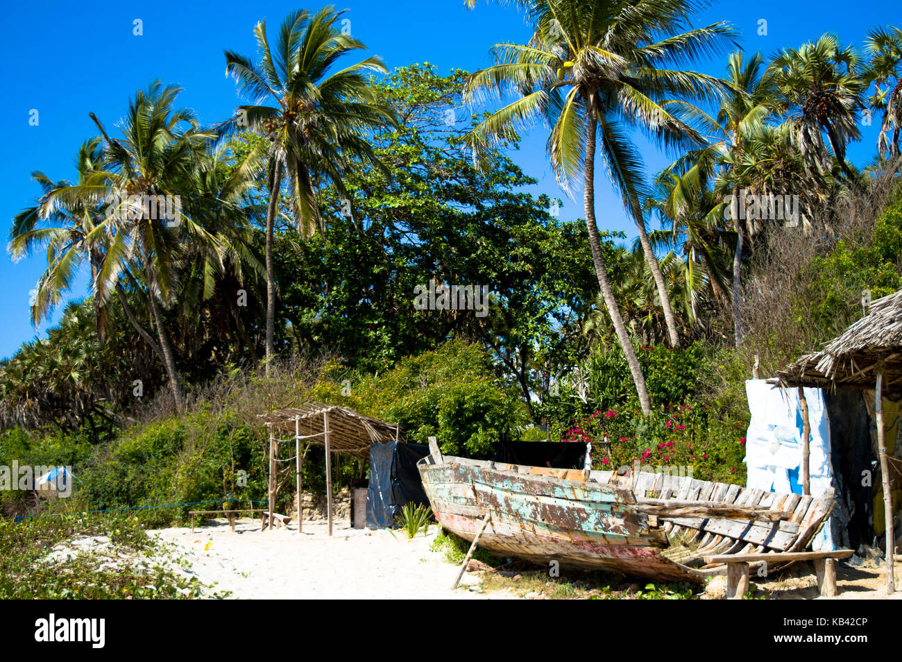 Una barca alla spiaggia con palme Foto Stock
