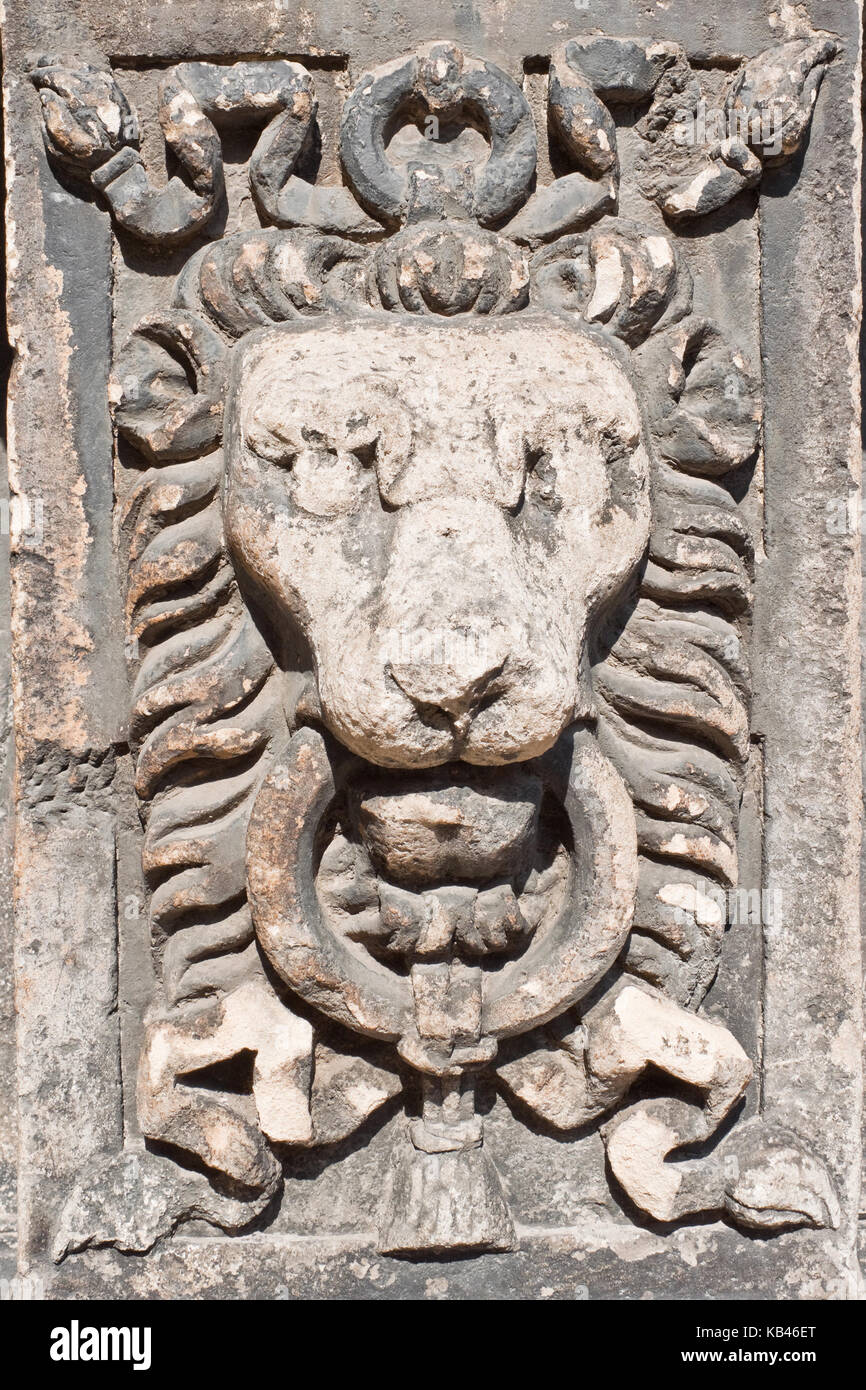 Testa di leone scultura in pietra sulla facciata della Cappella boim a Lviv, Ucraina Foto Stock