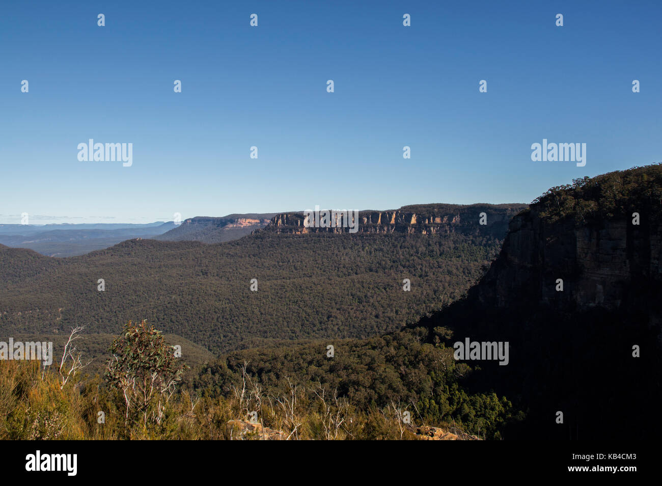 Vista panoramica delle montagne blu in australia Foto Stock