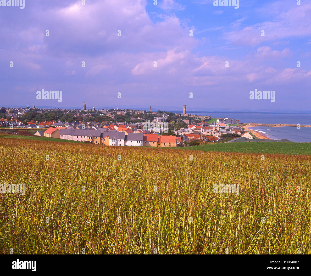 Una bella estate vista attraverso i campi dorati verso St Andrews Fife Foto Stock