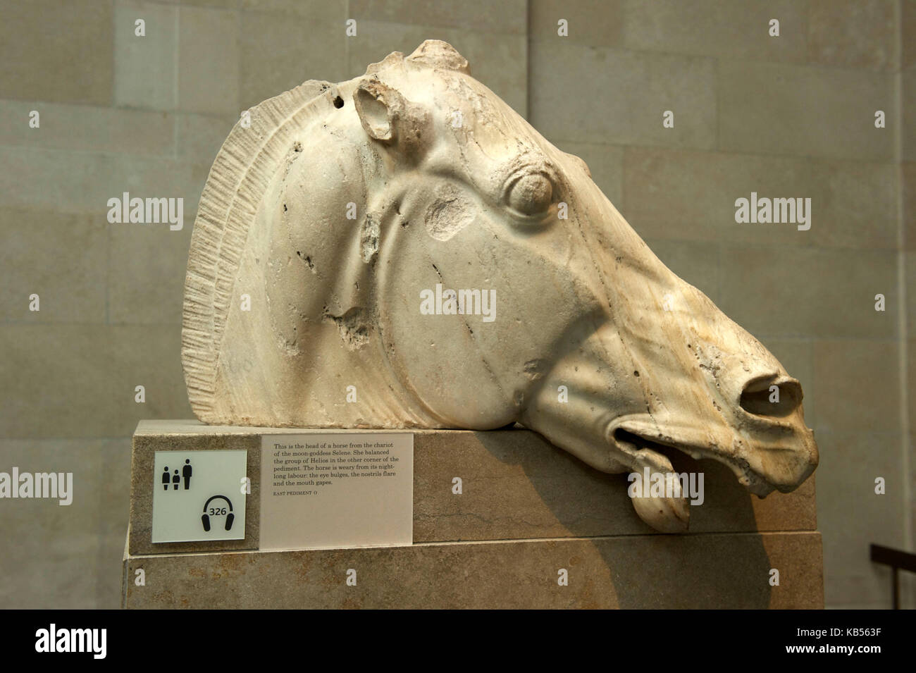 Regno Unito, Londra, Bloomsbury, British museum, sculture del Partenone, testa di cavallo dal carro del moon-dea selene Foto Stock