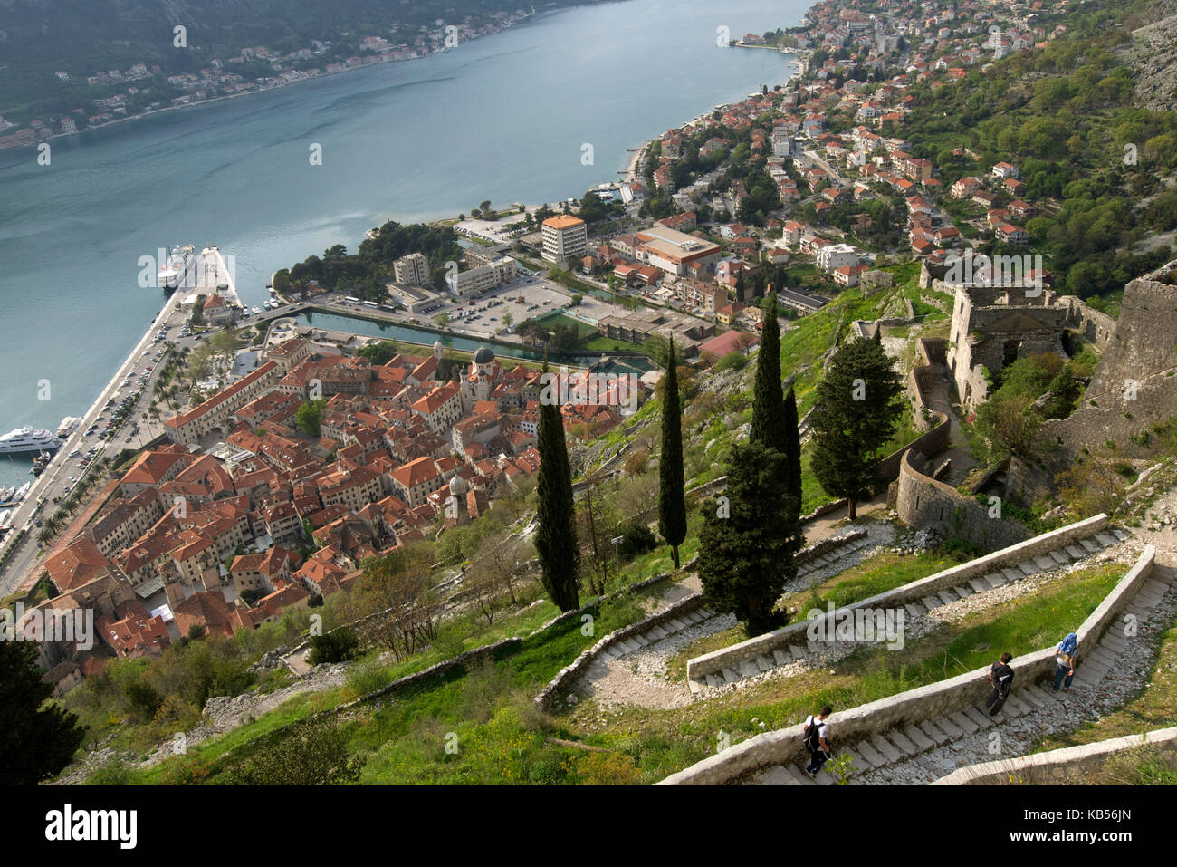 Montenegro, costa adriatica, kotor bay, La vecchia città di Kotor elencati come patrimonio mondiale dall' UNESCO, il modo di st. john fortezza Foto Stock