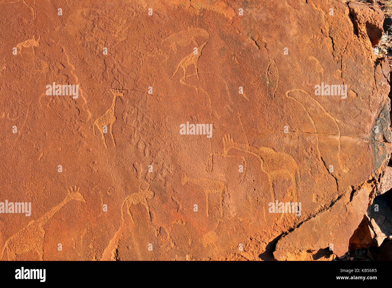 La Namibia, damaraland, twyfeltontein, classificato come patrimonio mondiale dall' UNESCO, incisioni rupestri Foto Stock