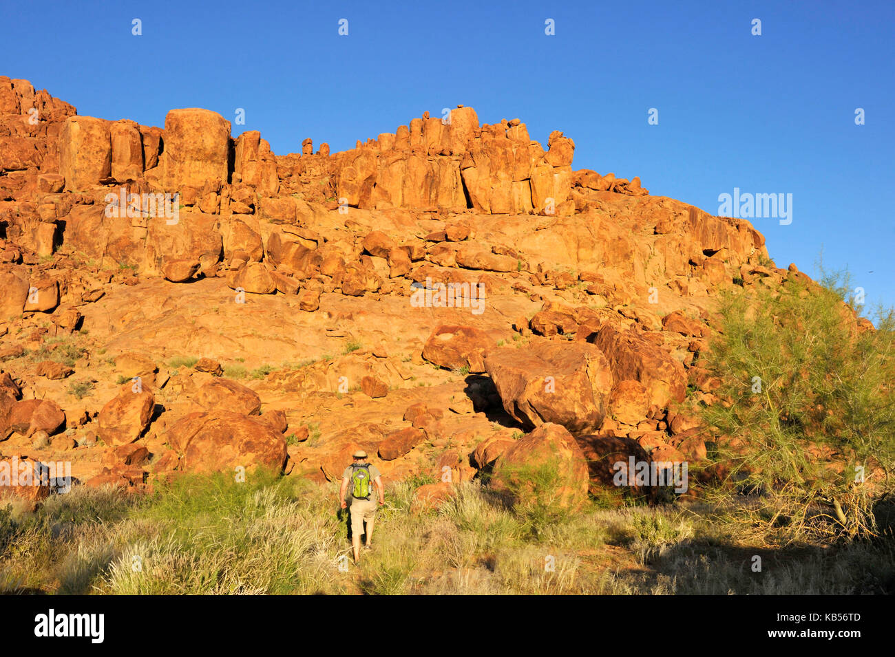 La Namibia, erongo, damaraland, brandberg e ugab River Valley Foto Stock