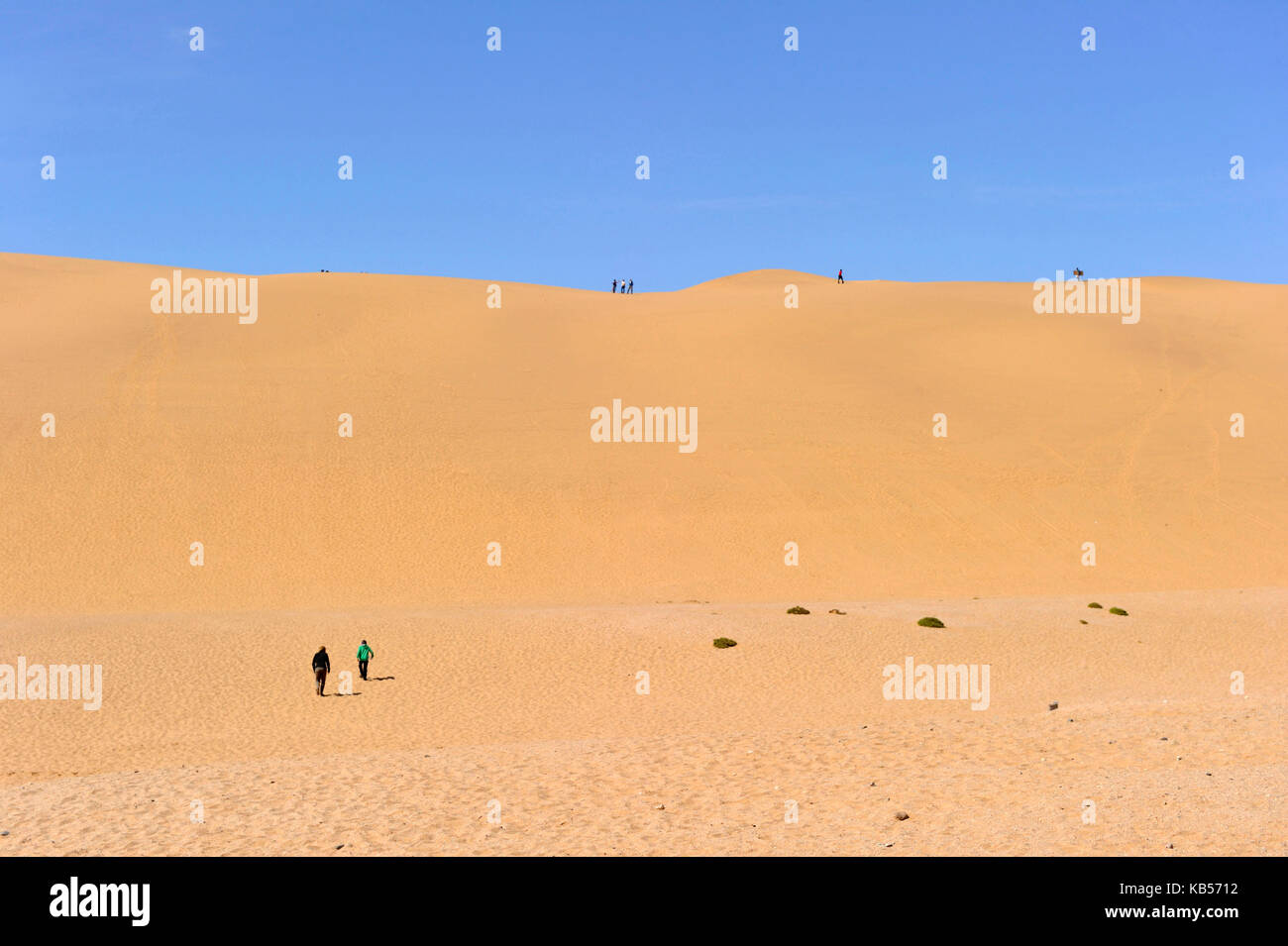 La Namibia, erongo, Swakopmund, Long Beach, dune di sabbia nel deserto del Namib Foto Stock