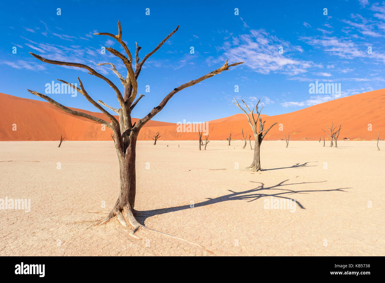 La Namibia, hardap, Namib Desert, namib-naukluft national park, dune del Sossusvlei, Dead Vlei Foto Stock