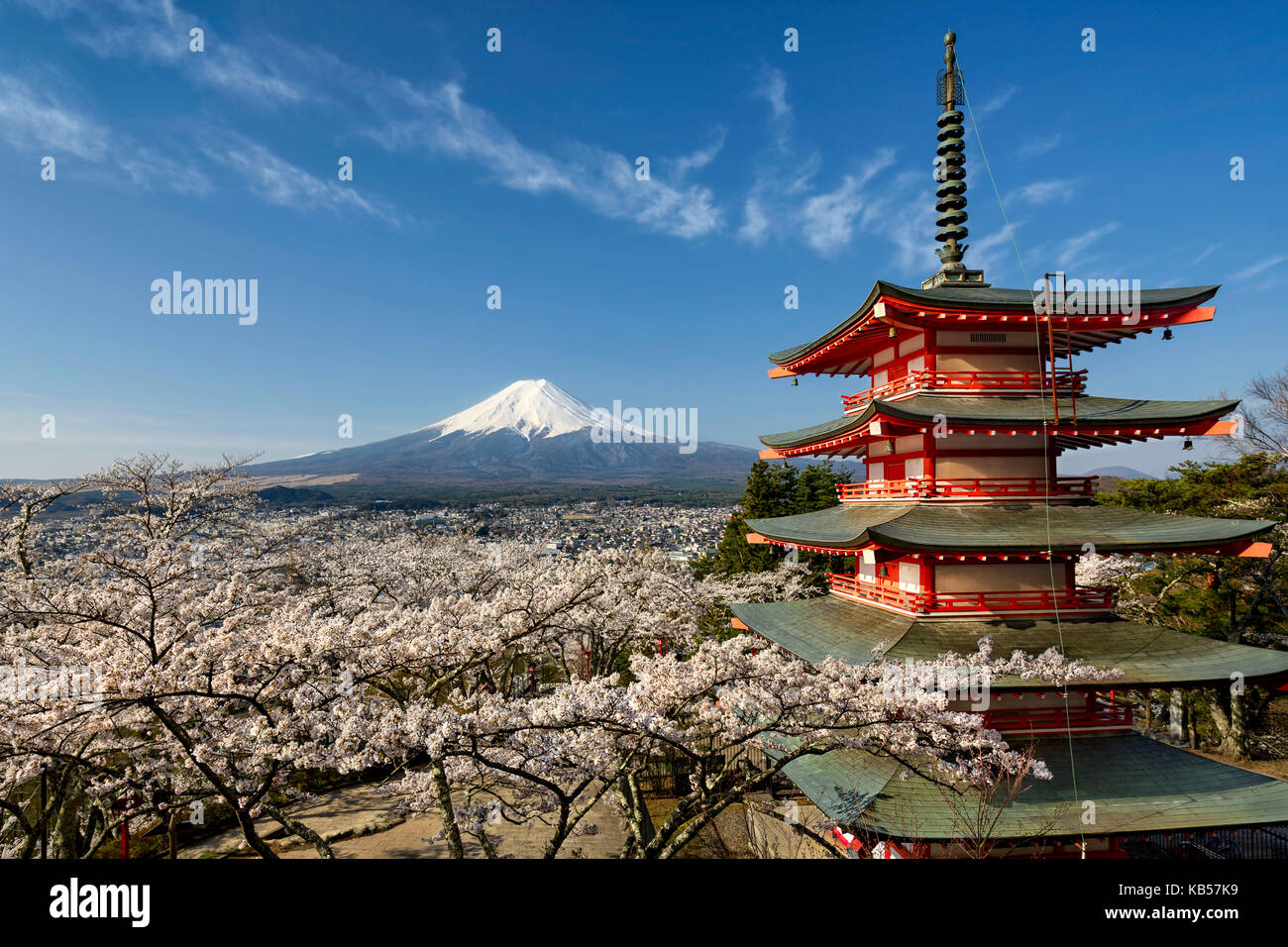 Il monte Fuji con una pagoda rossa in primavera con la fioritura dei ciliegi, Giappone Foto Stock