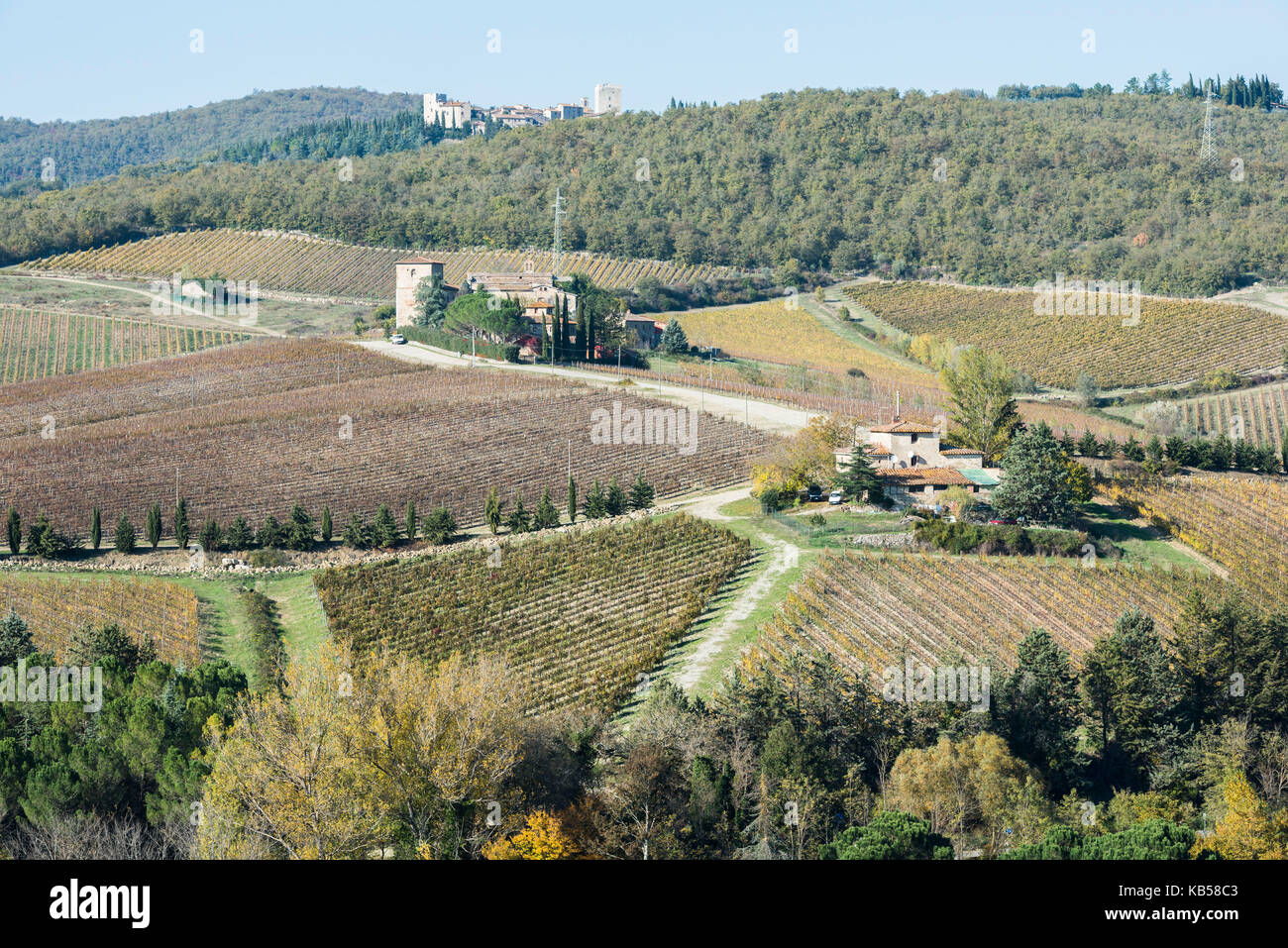 Diversi colori della Toscana vasti campi di vigna, circondato da boschi e privati di piccole case di pietra e ville, collegati da strade rurali Foto Stock