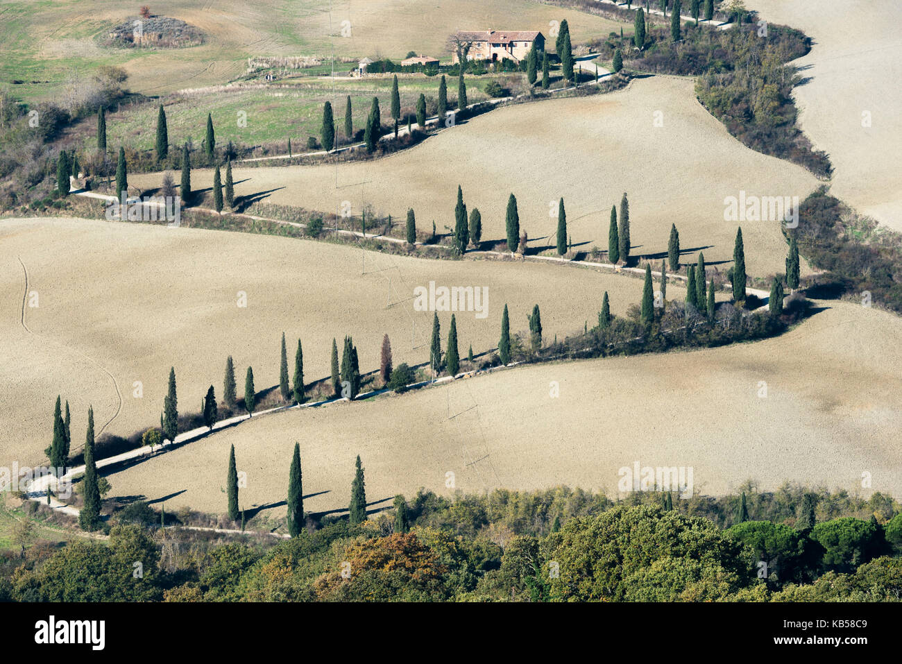 Pittoresca strada a serpentina, circondato da cipressi e grigio terra, sta portando a una villa in cima ad una collina. Toscana, Italia. Foto Stock