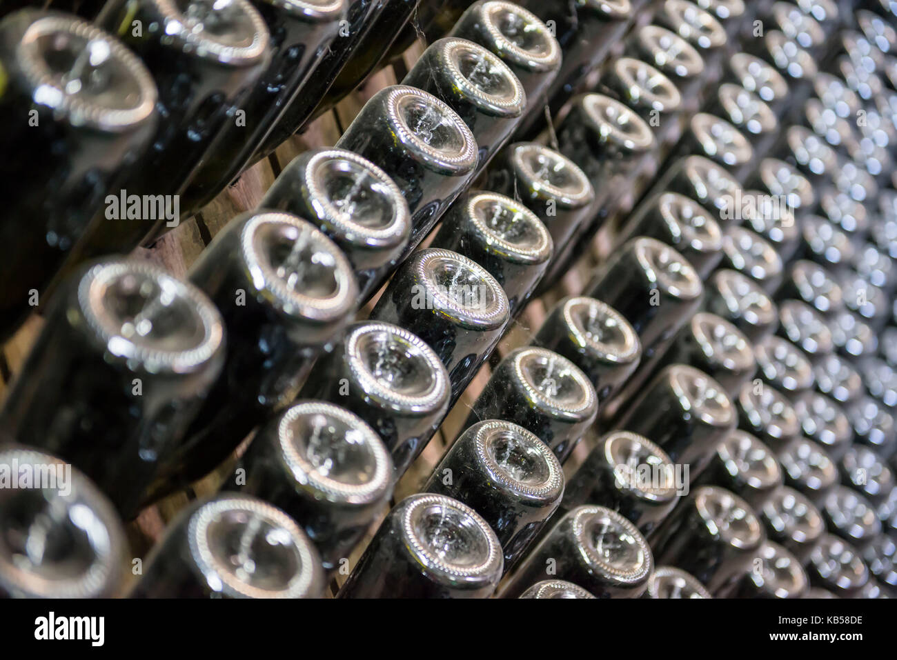 Vista ravvicinata del vuoto preparate le bottiglie di vigna nei pressi di un vigneto nella regione di Kakheti della Georgia Foto Stock