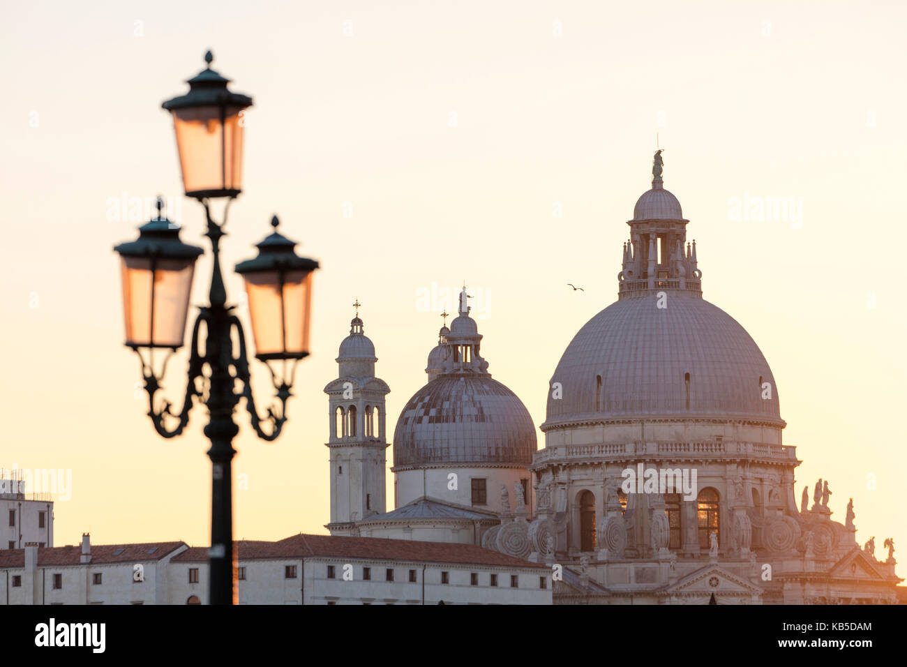 Cupole di santa maria della salute al tramonto, Venezia, sito patrimonio mondiale dell'unesco, veneto, Italia, Europa Foto Stock