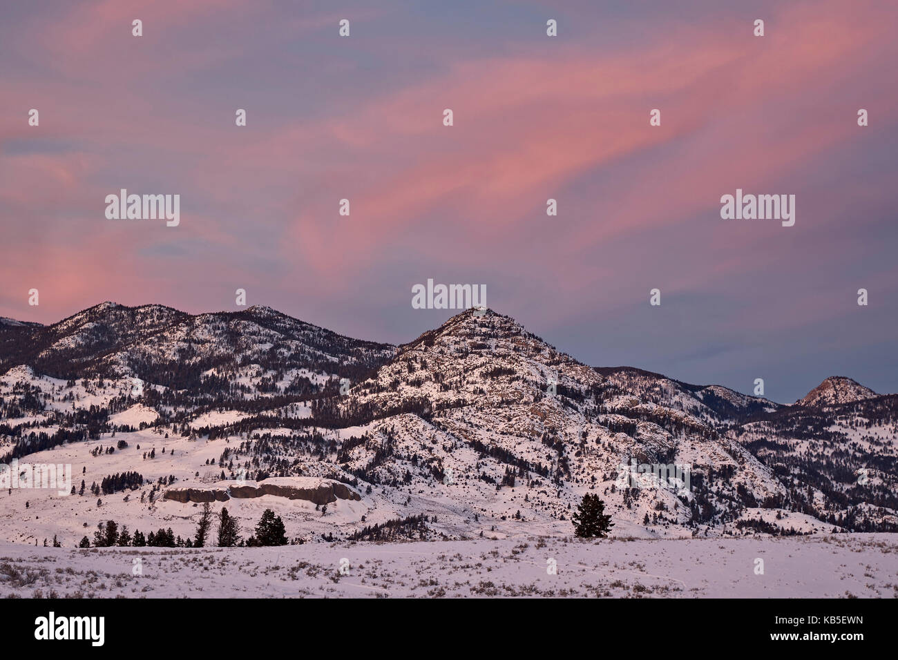 Nuvole rosa sulla coperta di neve colline al tramonto, il parco nazionale di Yellowstone, UNESCO, Wyoming, Stati Uniti d'America Foto Stock