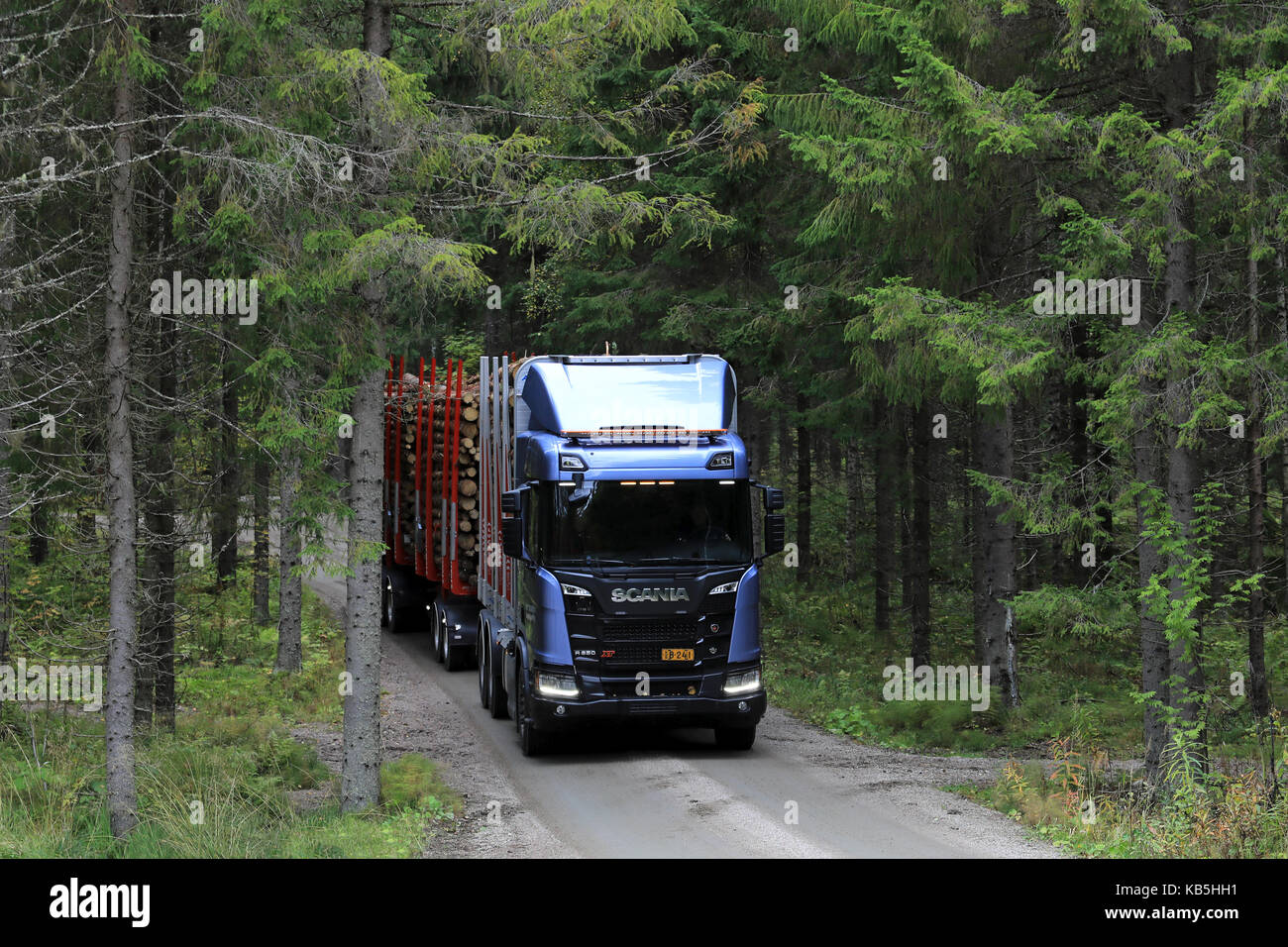 Laukaa, Finlandia - 22 settembre 2017: blu scania r650 xt carrello registrazione emerge tra abeti su una prova di guida lungo la strada forestale durante la Scania l Foto Stock