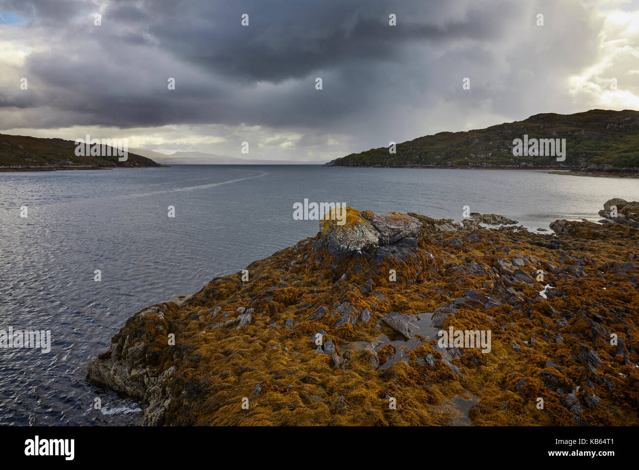 Grazie a sud sul loch toscaig dal molo toscaig pesante con i cieli e docce distanti. alghe rocce coperte in primo piano Foto Stock