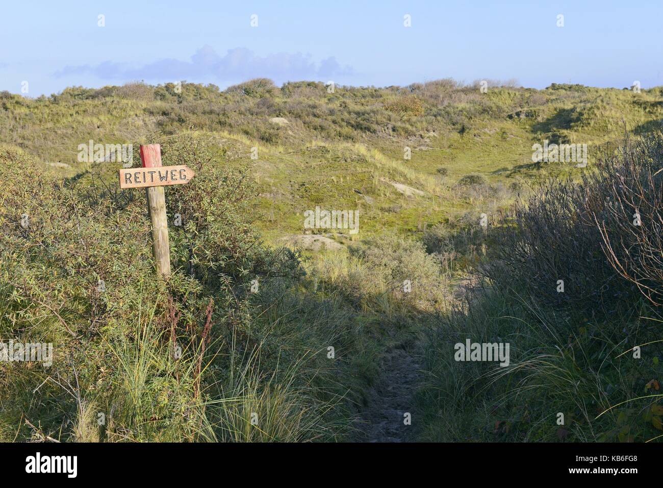 Un legno segno rosso contrassegnato una briglia percorso in borkum del grande verde vegetò area di dune, 16 novembre 2016 | Utilizzo di tutto il mondo Foto Stock