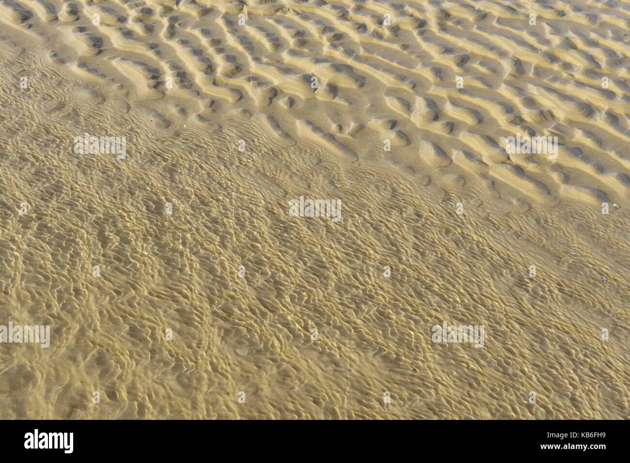 Piatto acqua ondeggiante sulla sabbia piatta con segni di ondulazione sulla borkum's Beach, 12 novembre 2016 | Utilizzo di tutto il mondo Foto Stock