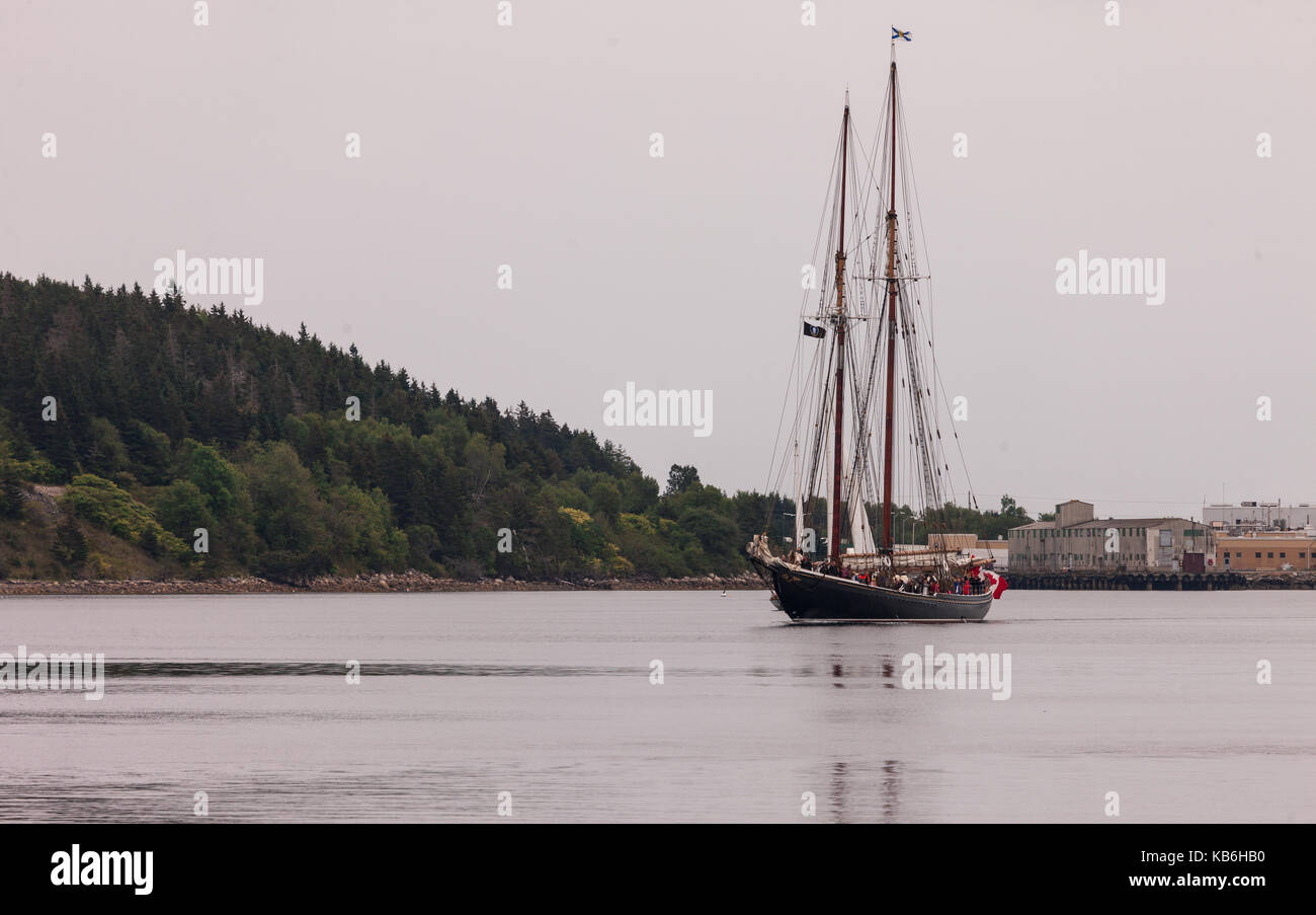 La bluenose ii arriva alla sua porta di casa di lunenburg, Nova Scotia il 30 agosto 2017. costruito da Smith e rhuland fu costruito per abbinare l'originale. Foto Stock