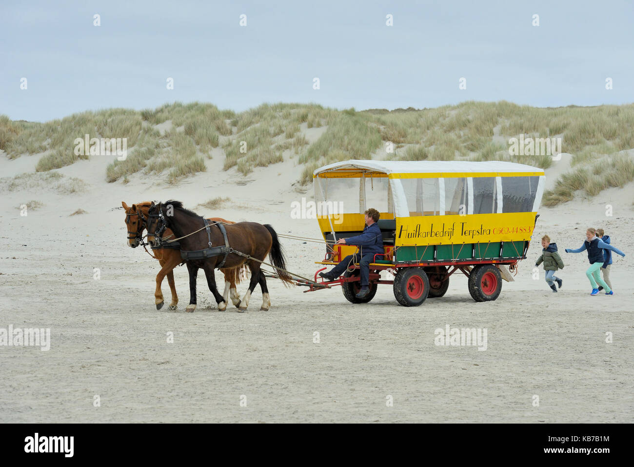 Horse powered incappucciati carrello solo a partire sulla spiaggia di Terschelling, Paesi Bassi, Friesland, terschelling Foto Stock
