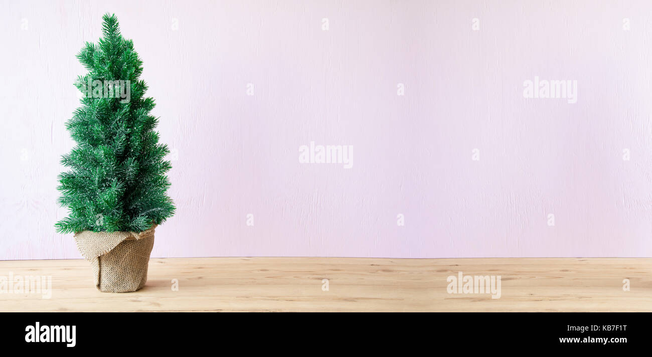 Albero di natale, rosa sullo sfondo di cemento, spazio di copia Foto Stock