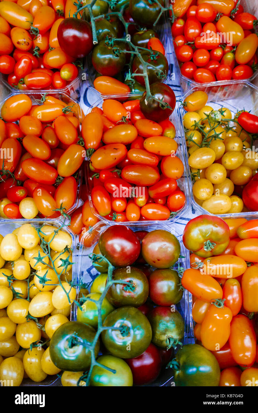 Varietà di pomodori per la vendita in un negozio di alimentari. Foto Stock